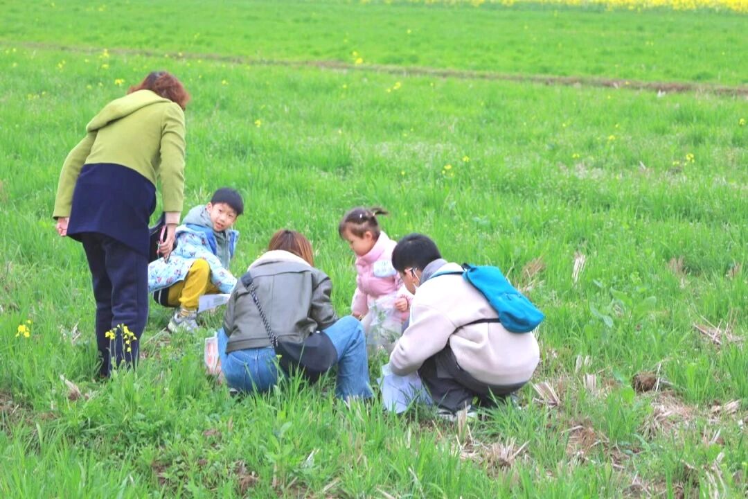 周末开营！去田野挖野菜、烤面包、把春天“敲”进帆布包里~