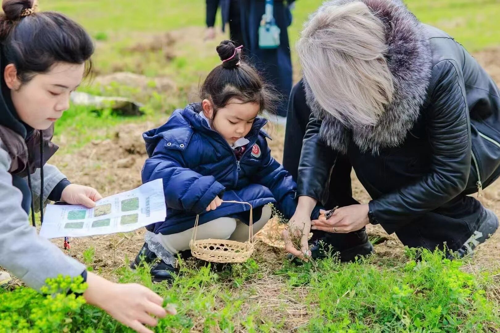 周末开营！去田野挖野菜、烤面包、把春天“敲”进帆布包里~