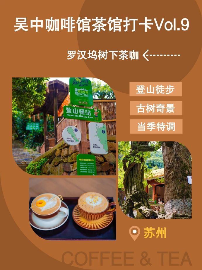 吴中咖啡馆茶馆打卡Vol.9→树下茶咖