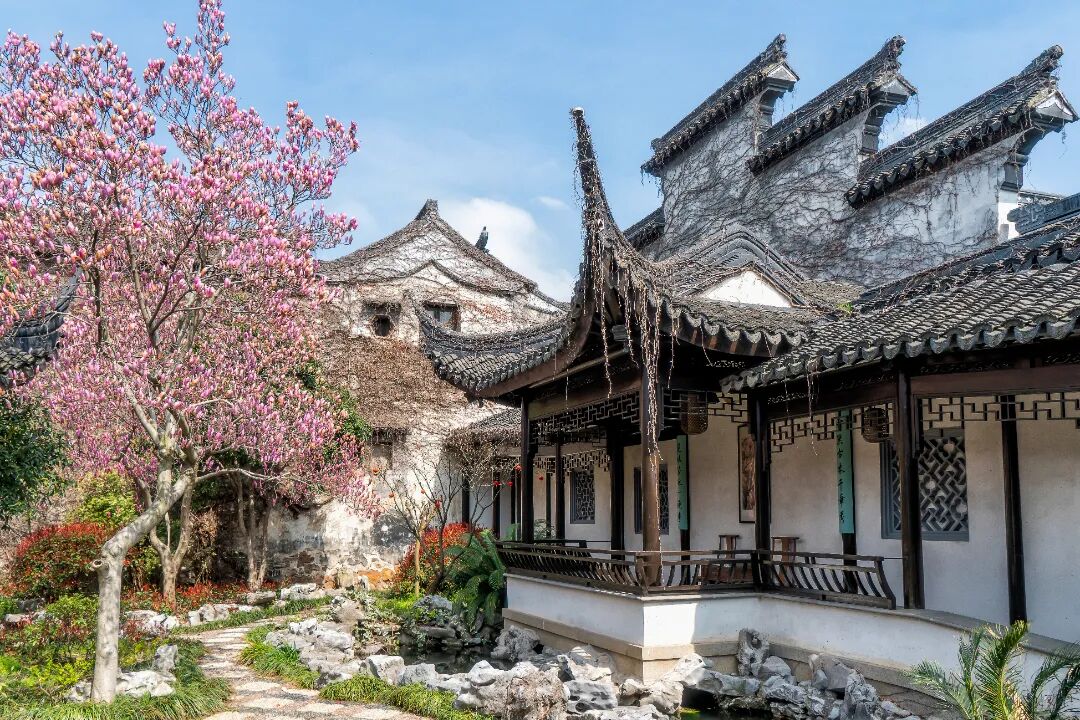 跟着这份地图，承包红墙黄墙白墙玉兰