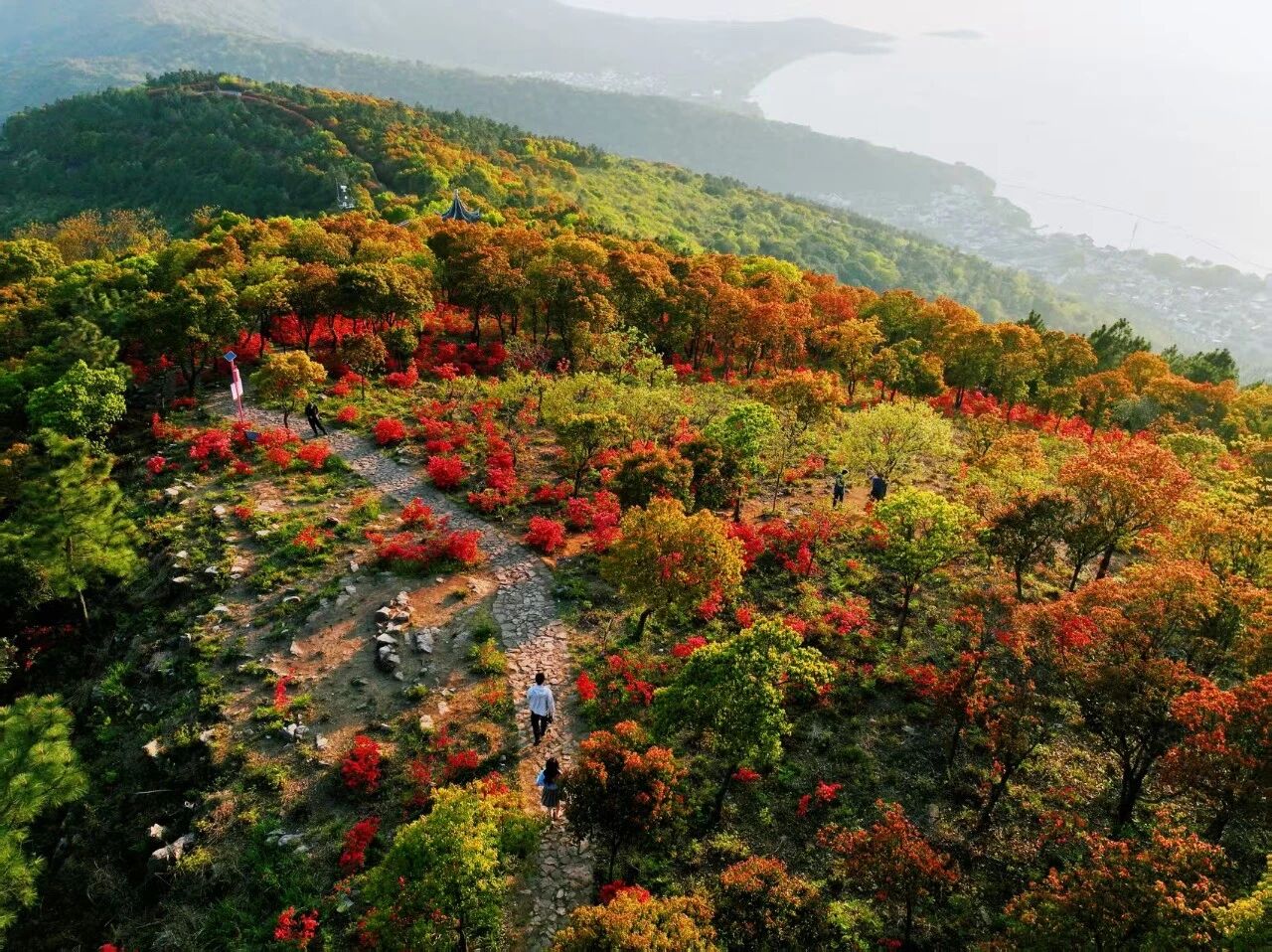 春有约，花不误！来东山，走花路！