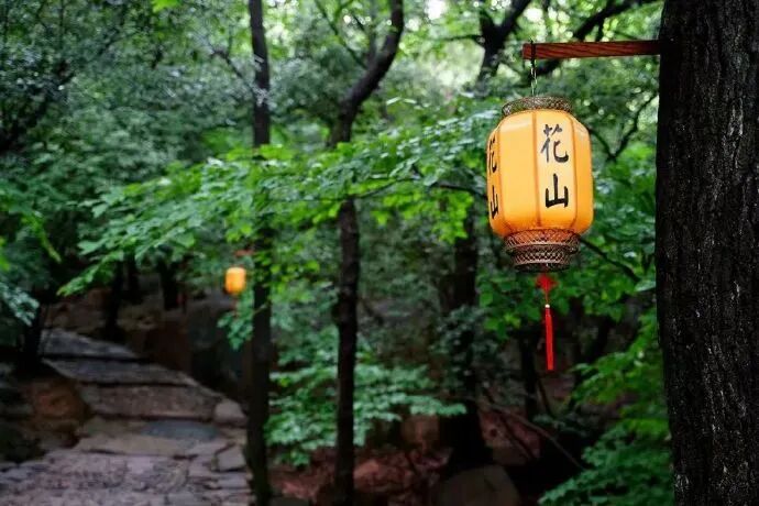 花山登高・隐逸运动三日游