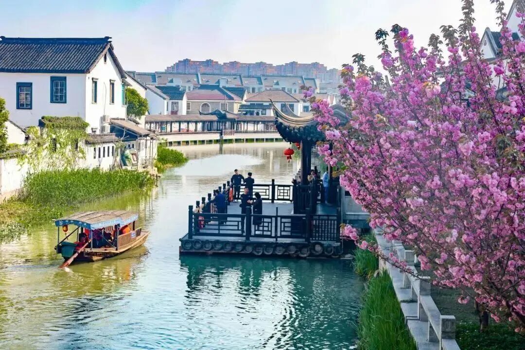 花期将至！跟着地图去赏樱~