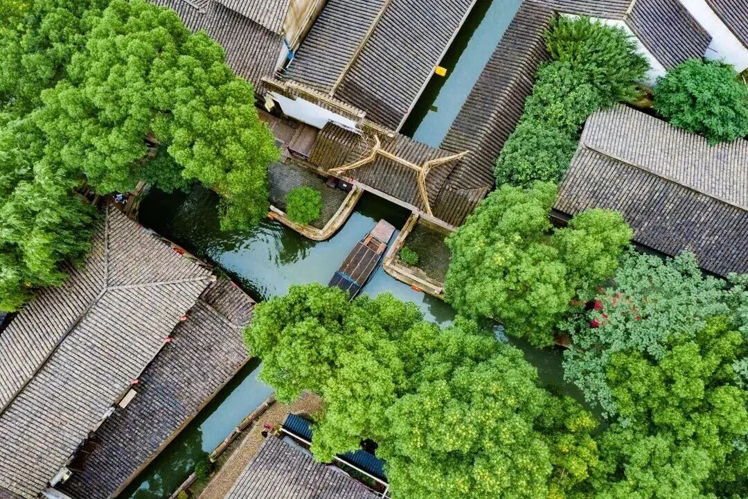 苏州队队徽上的神兽，在甪直蹲了上千年！