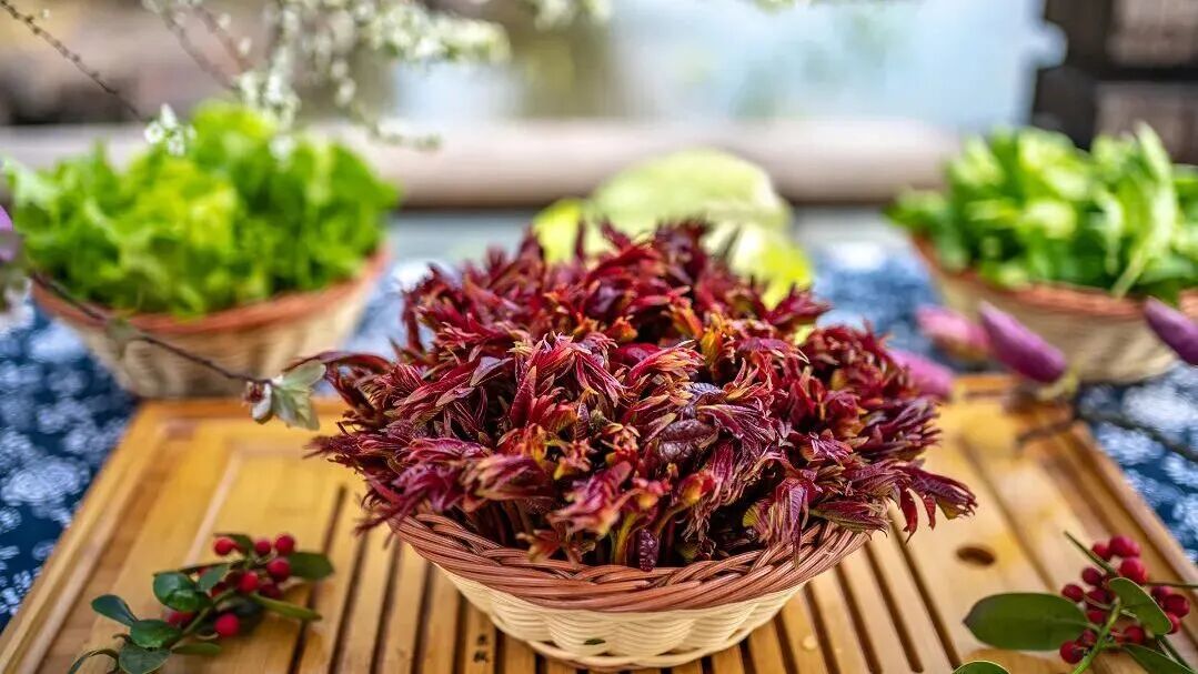 特种兵集结苏州，这个春天邀您揽胜太湖