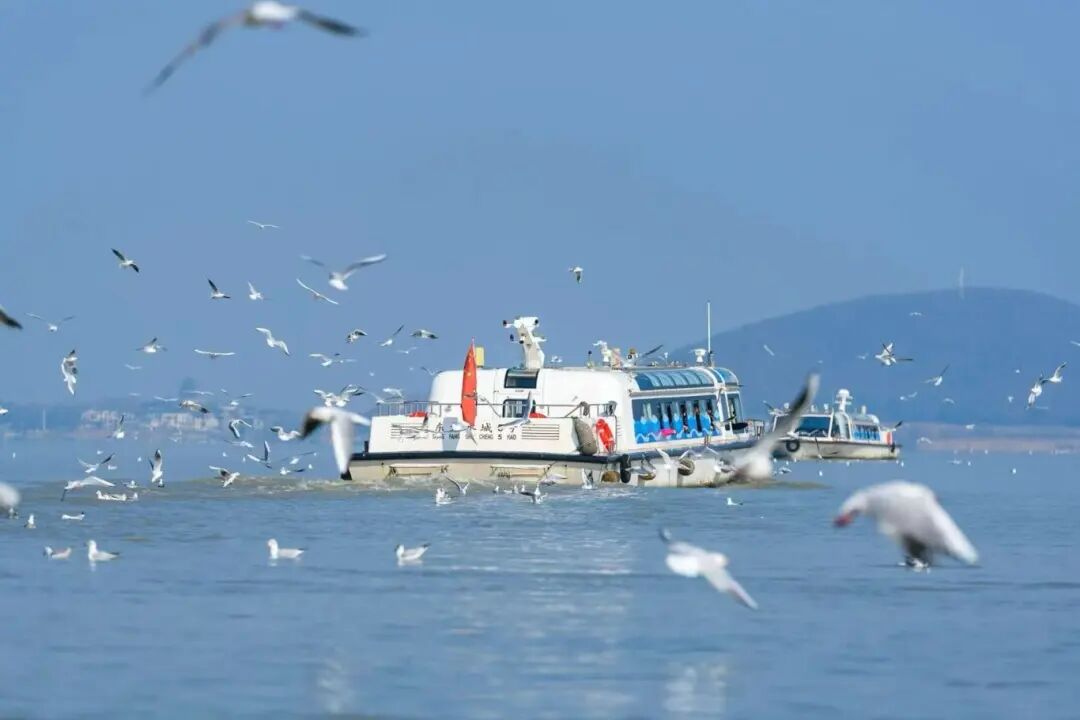 太湖赏樱・动感探春二日游