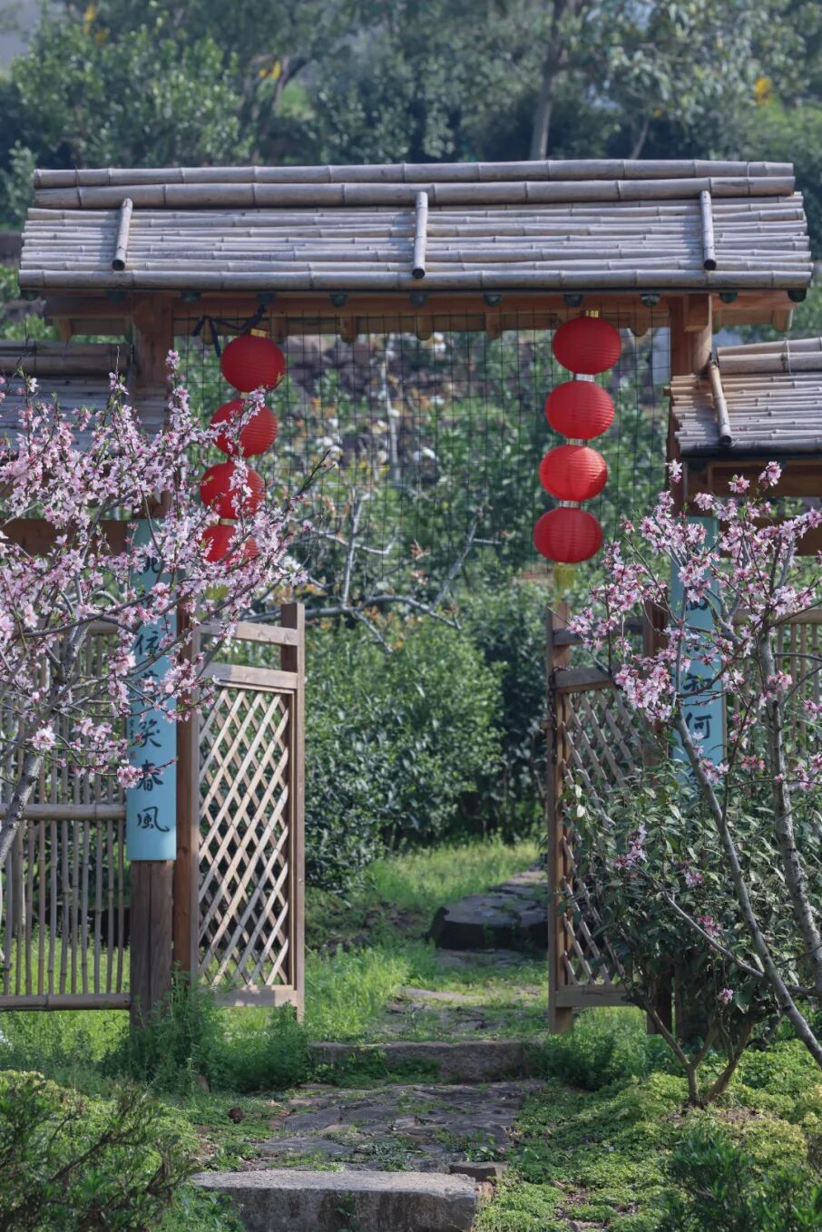 桃花地图上线，赏春不迷路~