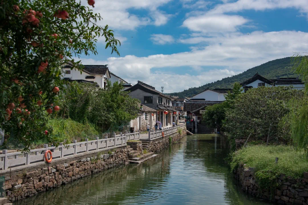茶见洞庭·太湖揽胜二日游