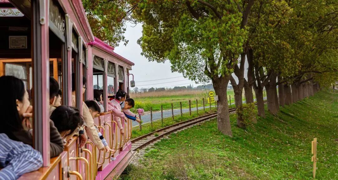 古镇新城・古今交融三日游