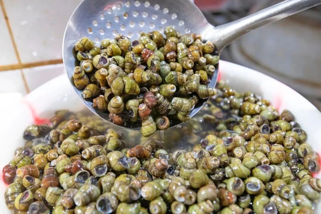 春天第一口“鲜”来了！