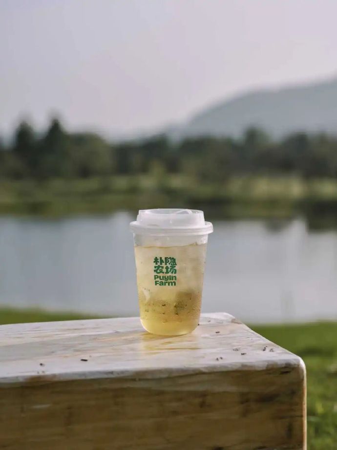 试营业啦！太湖新晋网红农场！