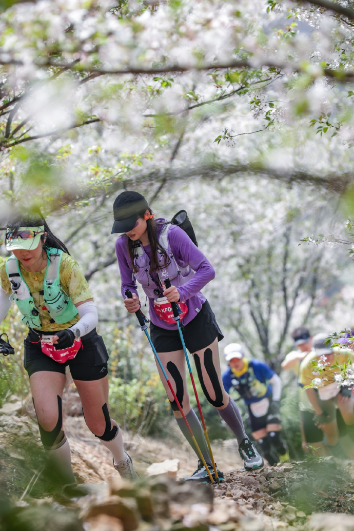 谁家赛道这么好看！光福樱花越野跑完美收官！