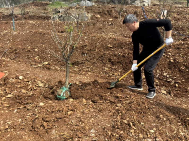 以树喻廉·聚力同心——2026年金庭旅游集团生态共建行动