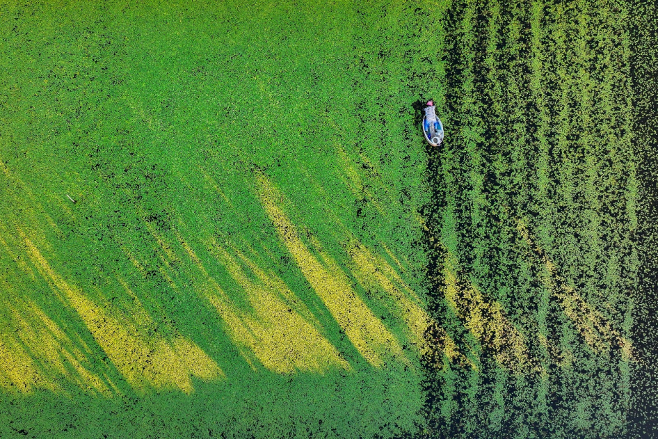 鲜掉眉毛！预计4月中旬大量上市