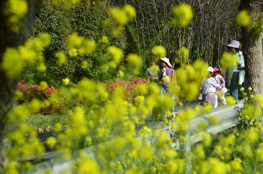167.3万人次！赴约“吴”限春光