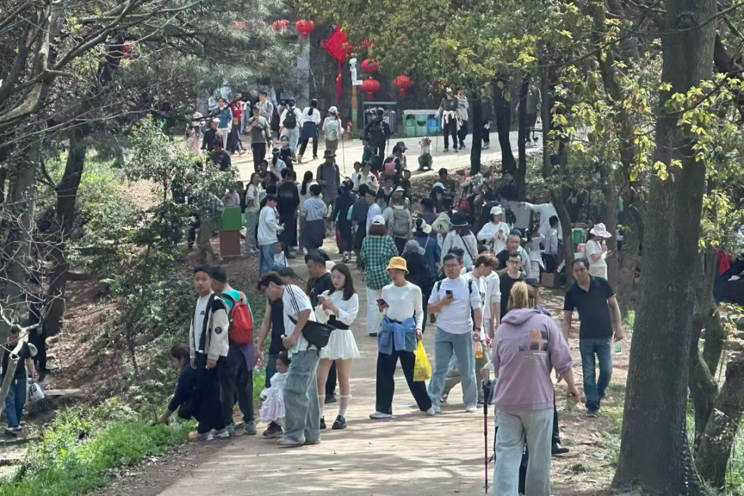 167.3万人次！赴约“吴”限春光