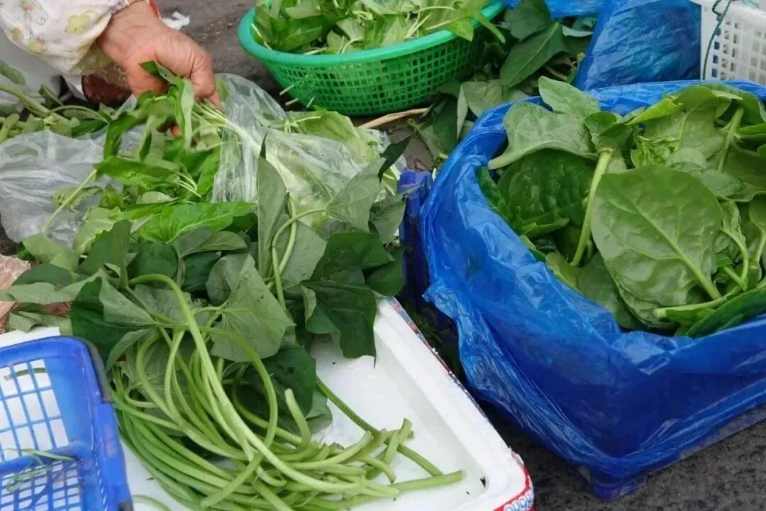 寻味菜市场,提一篮“活色生香”的春天