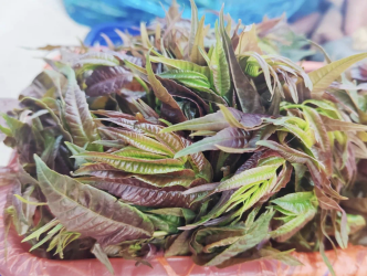 寻味菜市场,提一篮“活色生香”的春天