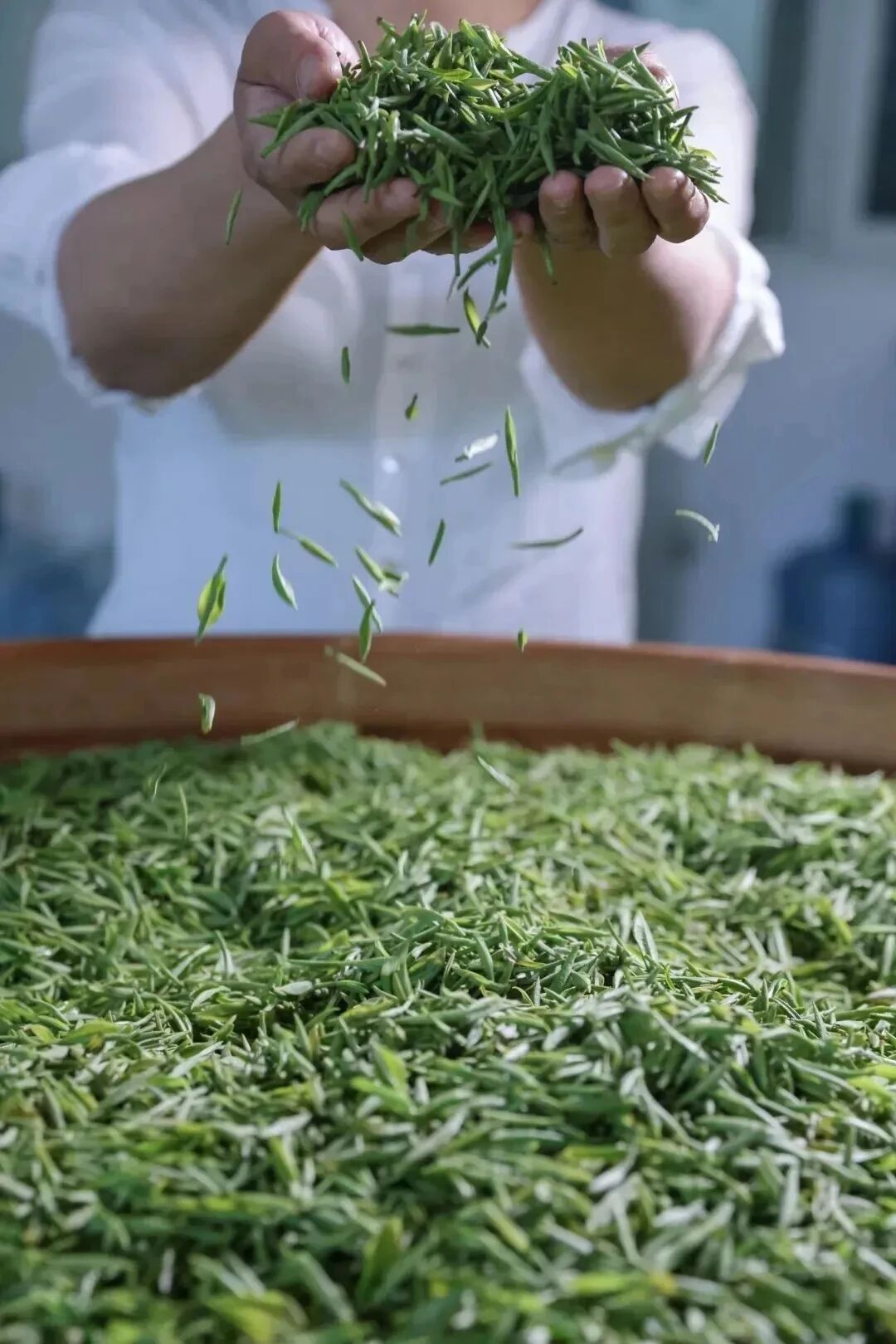 把吴中的“春天”吃进肚子里