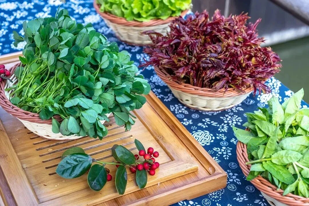 把吴中的“春天”吃进肚子里