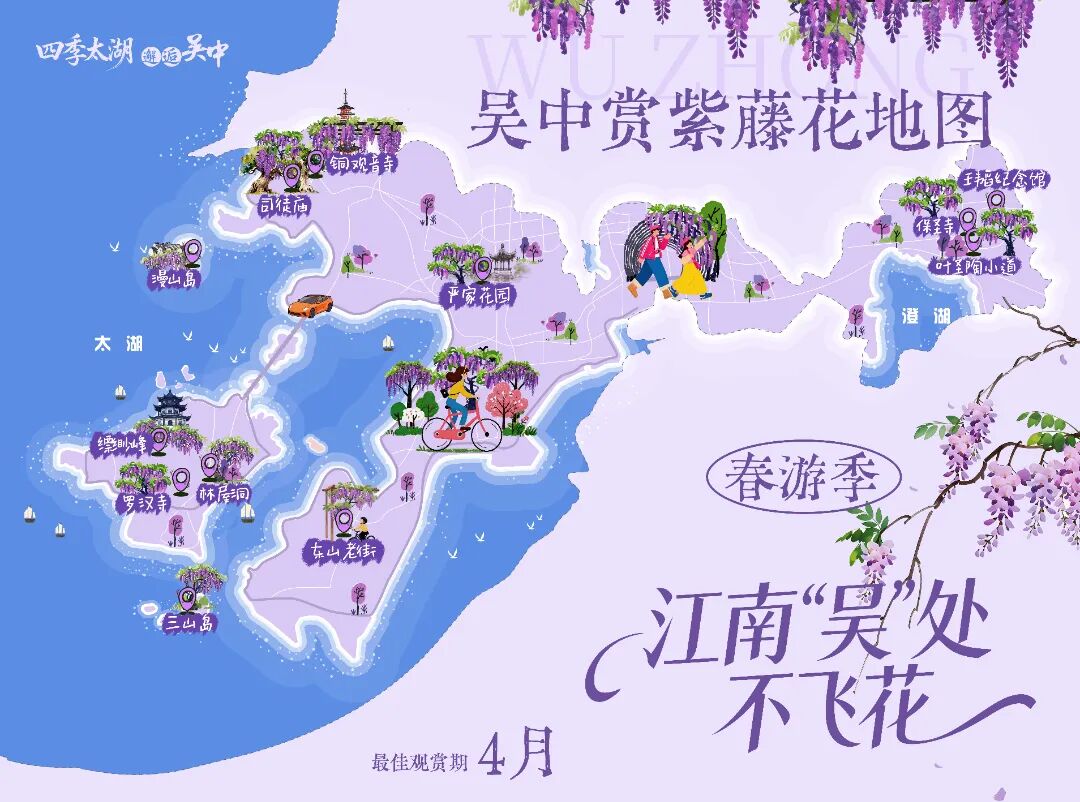 吴中紫藤地图：花下迷路，也愿意
