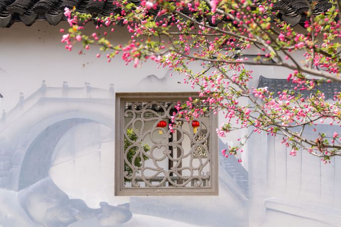 桃花灼灼，海棠未眠