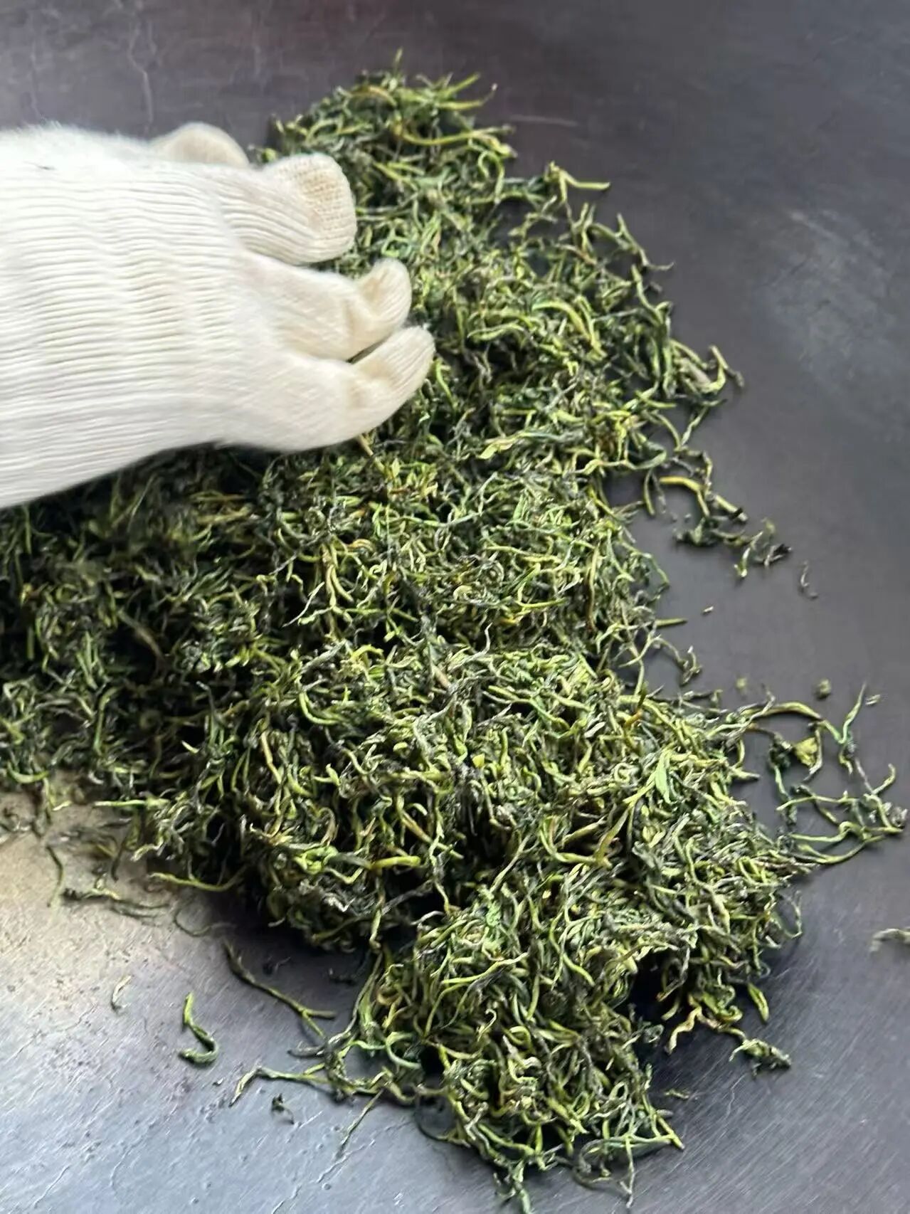 炒青大量上市！趁新鲜，喝起~