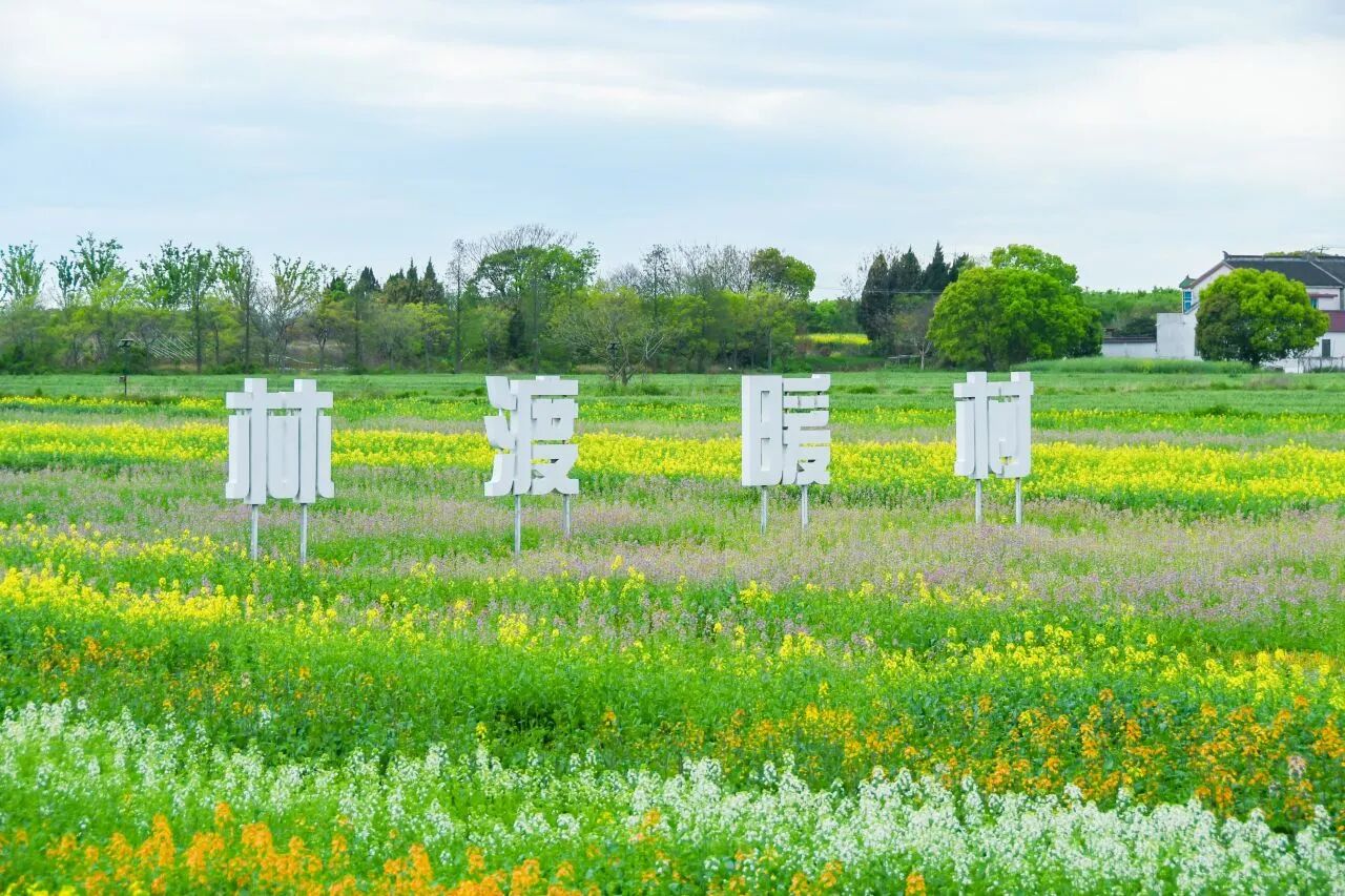 来林渡暖村，撸串、篝火、赏花、住进油画里！