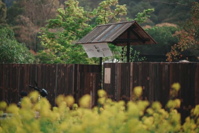 紫薇山下，喝茶品咖，等你发呆~