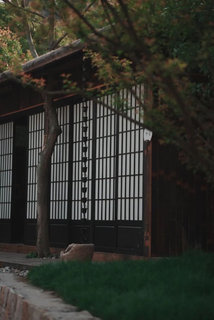 紫薇山下，喝茶品咖，等你发呆~