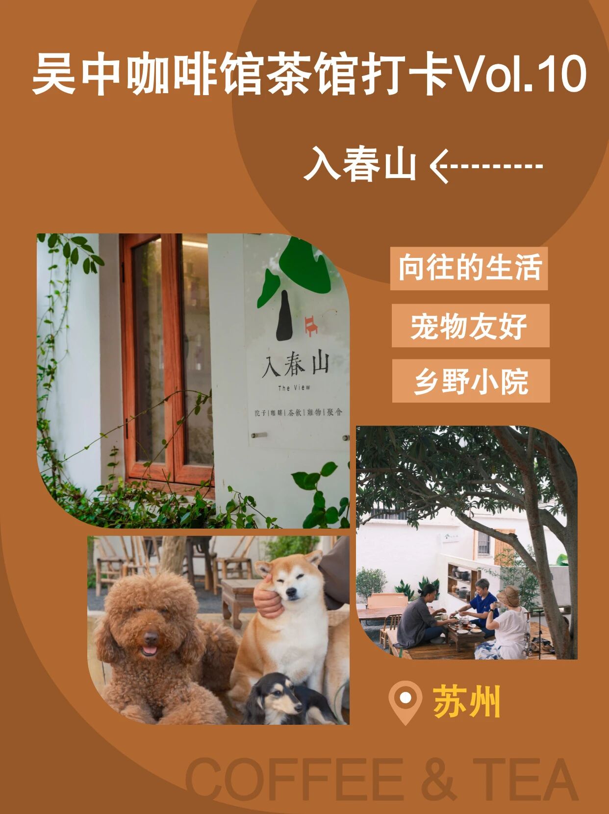 吴中咖啡馆茶馆打卡Vol.10→入春山