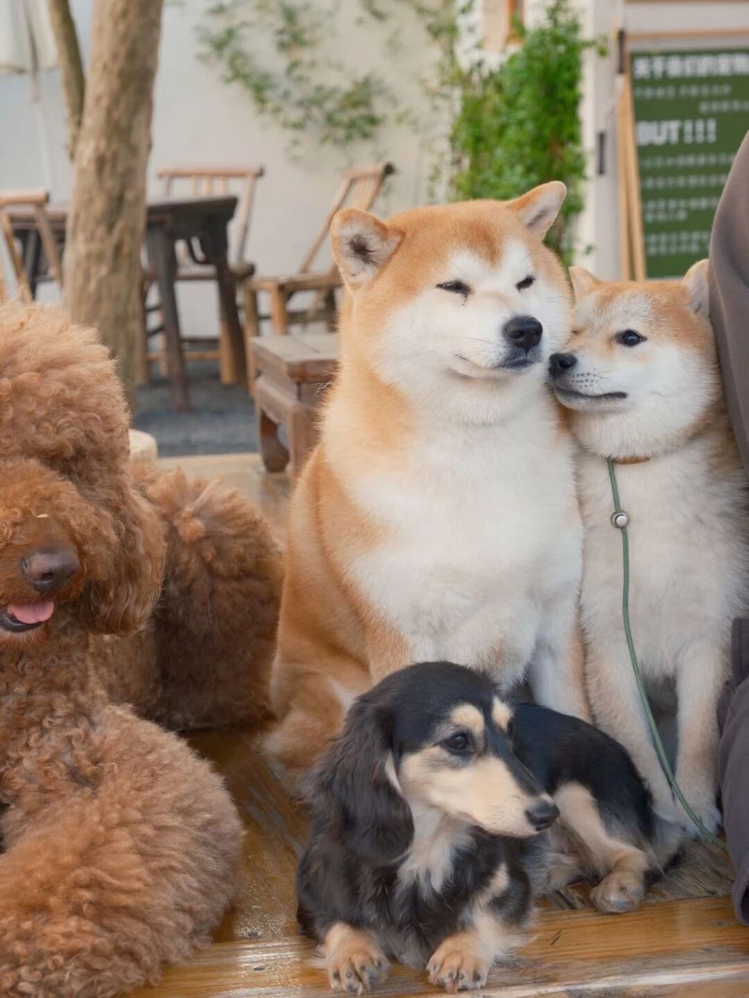 吴中咖啡馆茶馆打卡Vol.10→入春山