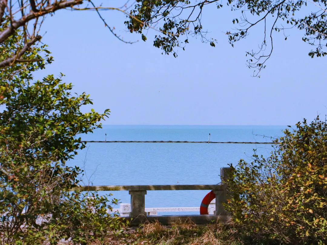 来西山岛追风吧~