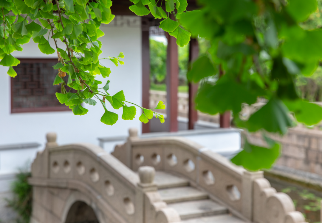 “Color Walk”火到甪直了！