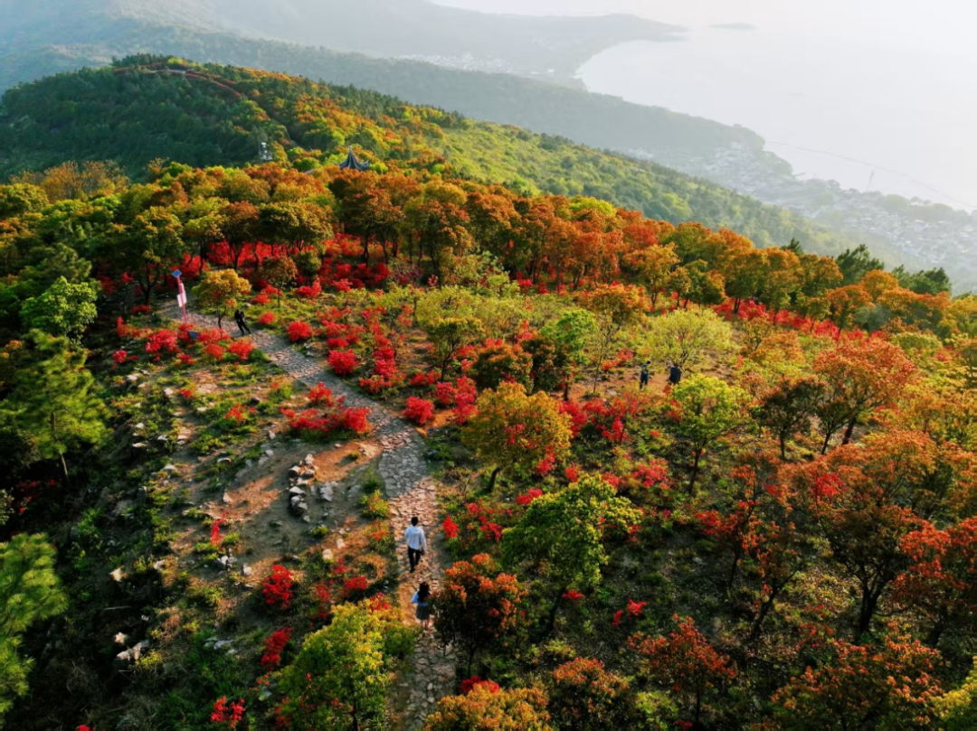 五一游东山，一路向湖一路花！