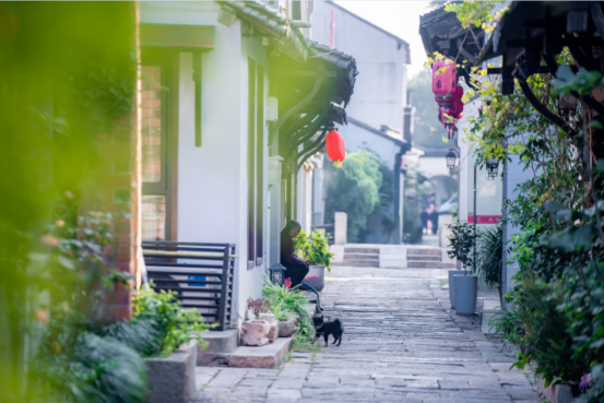 粉墙黛瓦，晕染甪直千年古韵