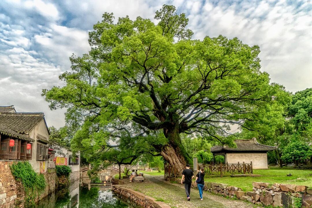太湖西山岛五一漫游指南