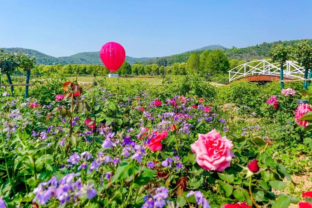 太湖西山岛五一漫游指南