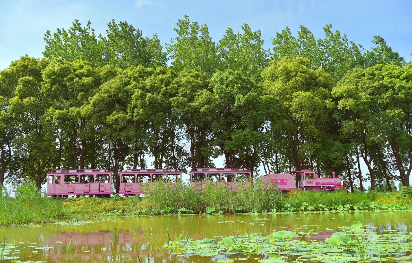 五一的太湖一号公路，到底有多好玩？