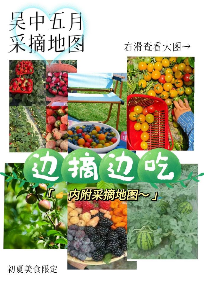 吴中5月采摘地图，出发~