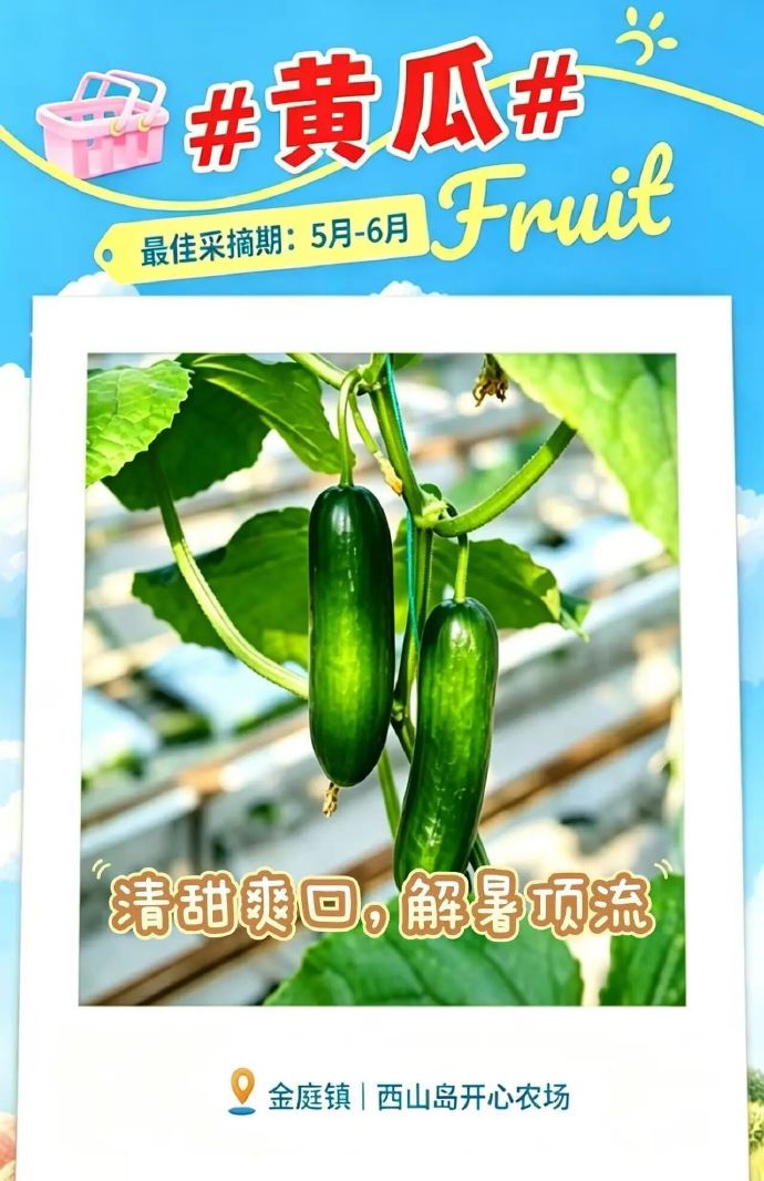 吴中5月采摘地图，出发~