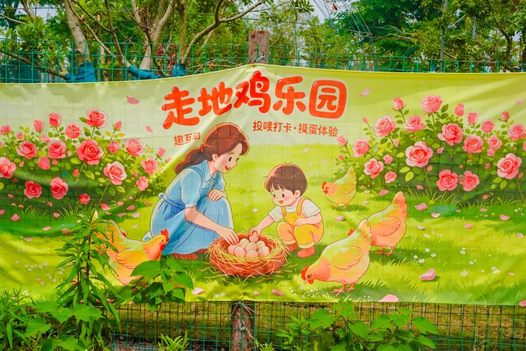玫瑰开好了！吴中初夏，浪漫出发！