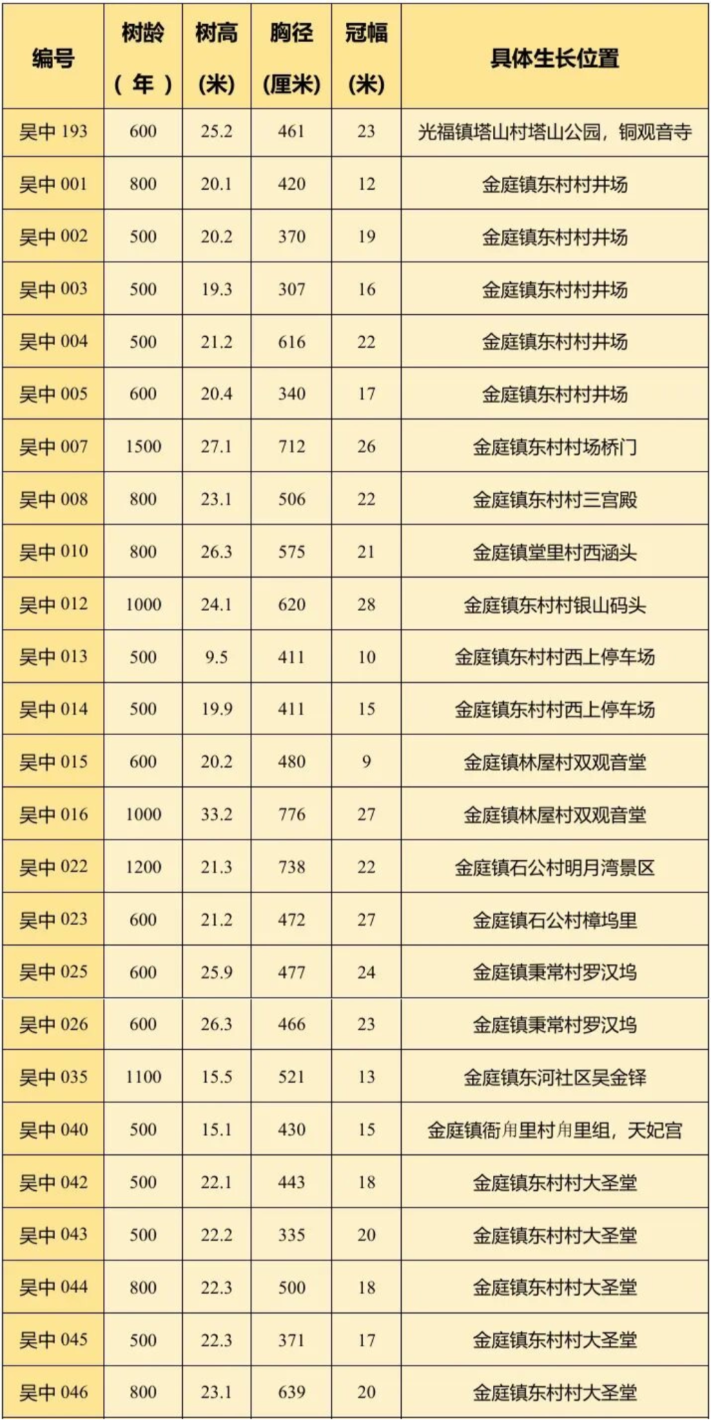 上岛寻树，夏天正好~