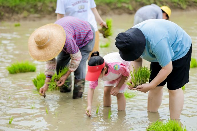 暖村6月超级周末！去田里，过夏天~