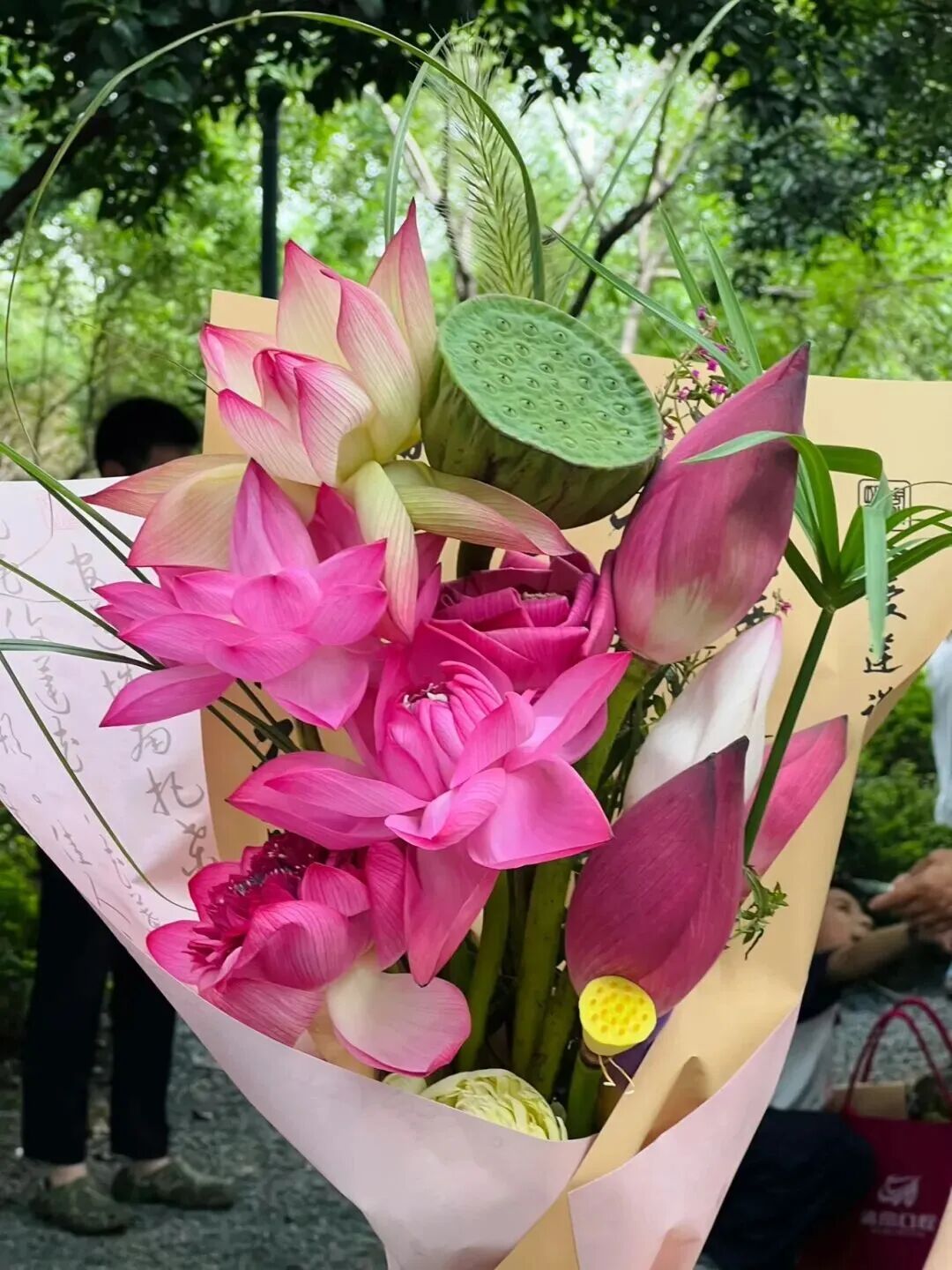 赏荷、逛集、品宴……今夏吴中“荷”你不见不散~