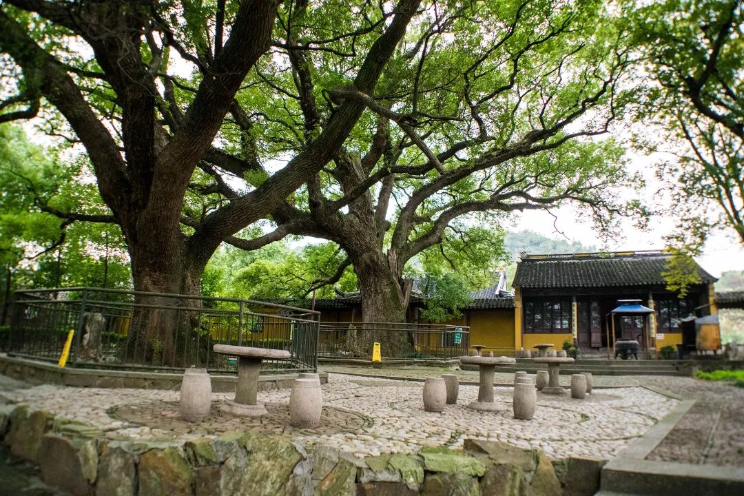 湖山荷趣田园之旅