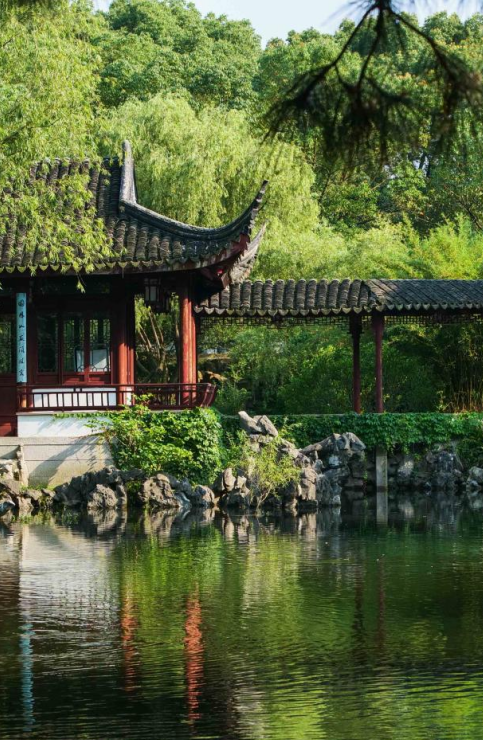 绿意深处，自有清凉