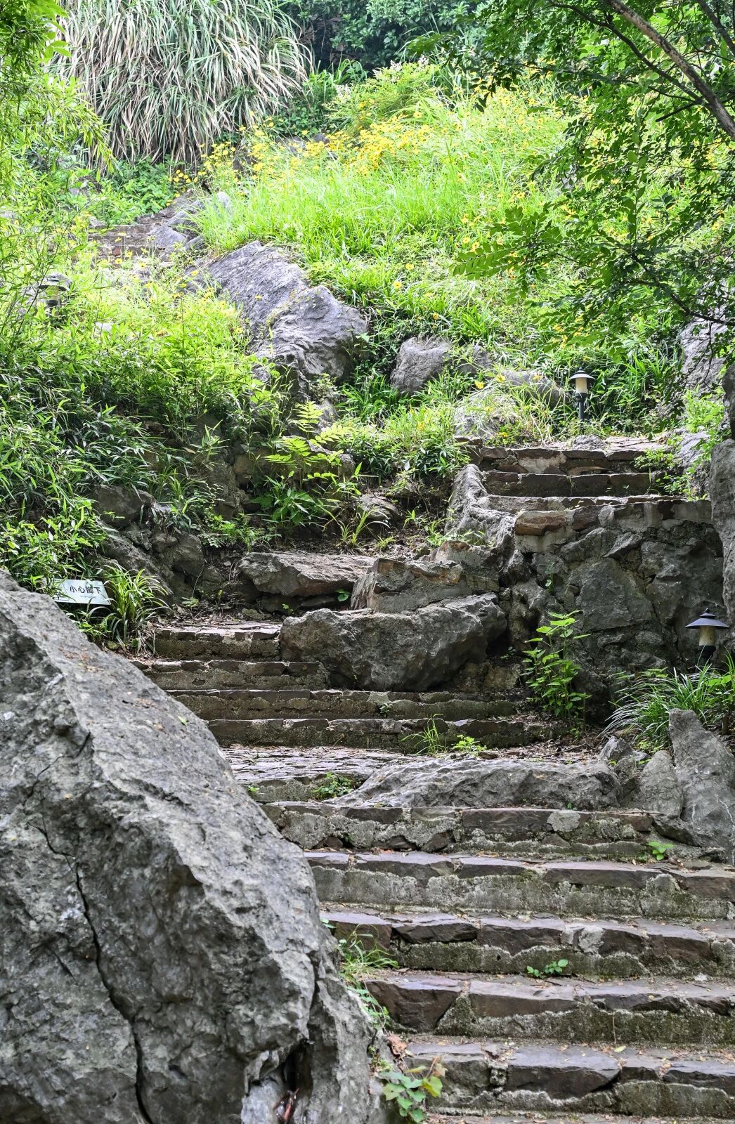 绿意深处，自有清凉