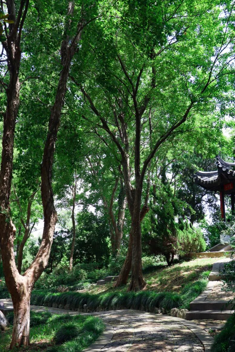 谁说看海才叫浪漫？太湖跳岛，夏天必冲！