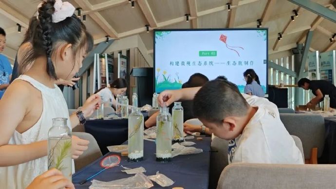 吴中暑期研学！去田野奔跑，来岛上寻光~